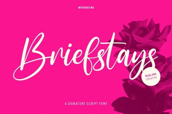Briefstays: The Perfect Script Font for Handmade Brands