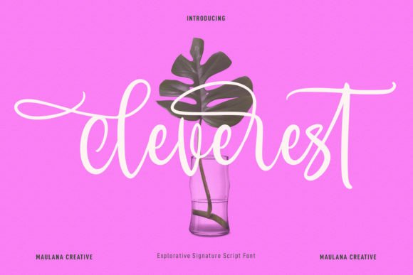 Cleverest Font Review: A Sweet Script for Brand Identity