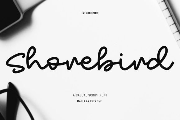 Shorebird: A Versatile Script Font for Modern Branding
