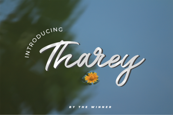 Tharey: A Paint-Brushed Script Font for Editorial Design